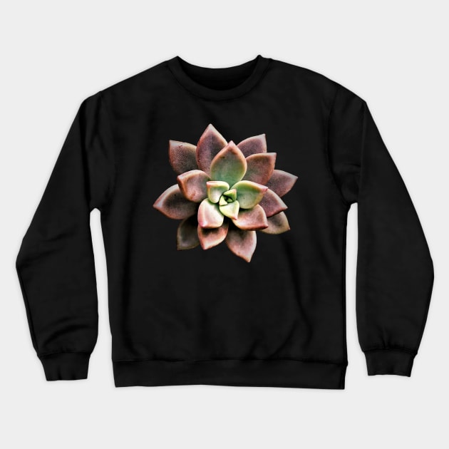 Sedum Bronze Crewneck Sweatshirt by NerdsbyLeo